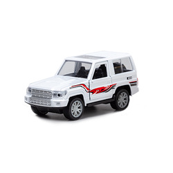 Land Cruiser RC Car